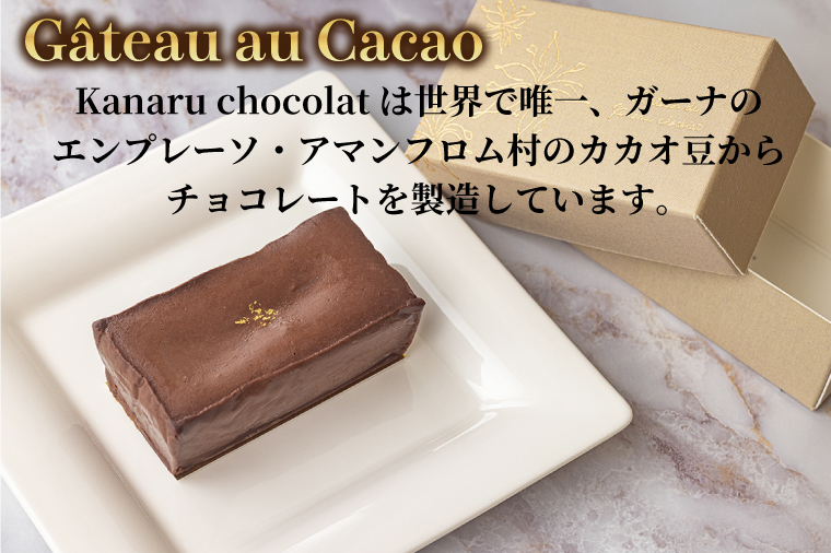 le Gâteau au Cacao (1本)(AH004)