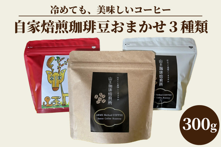 自家焙煎珈琲豆おまかせ3種類（100g×3袋）300g（BA001）