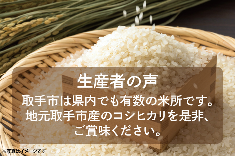 【11月中旬より順次発送】【令和6年度産】取手市産 コシヒカリ 7kg | 米 精米 白米 こしひかり JA 茨城県 取手市 （AR001）