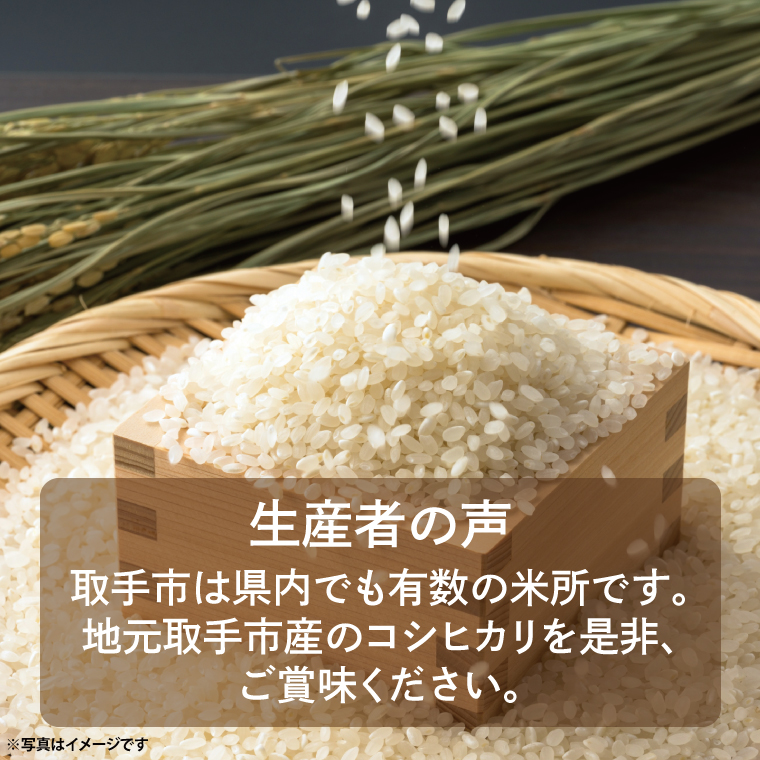 【令和7年度産】取手市産 コシヒカリ 15kg | 米 精米 白米 こしひかり JA 茨城県 取手市 （AR002）