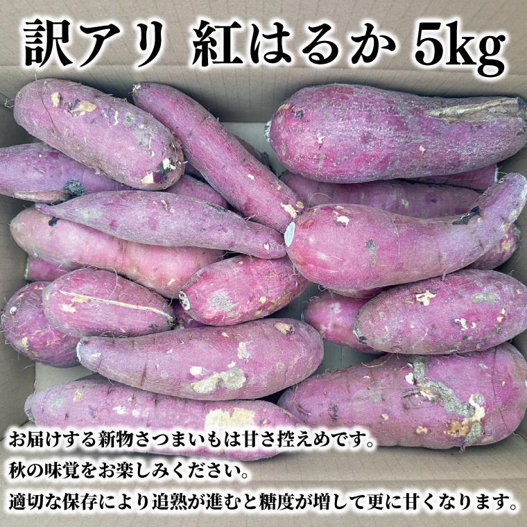 【期間限定】訳アリ 5kg 茨城県産 紅はるか　芋　イモ　サツマイモ　さつまいも　訳あり（AS003）