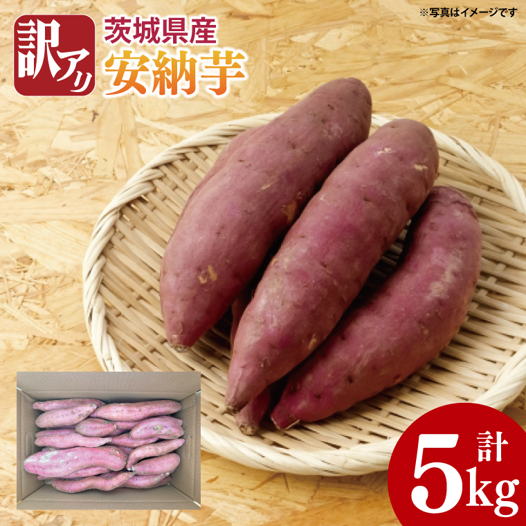 【期間限定】訳アリ 5kg 茨城県産 安納芋　芋　イモ　サツマイモ　さつまいも　訳あり（AS004）