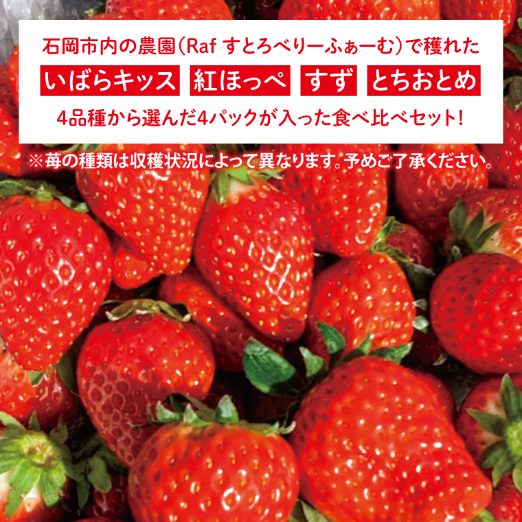 【先行予約】完熟苺 食べ比べセット 4パック【茨城県共通返礼品：石岡市】│ 完熟 いちご イチゴ いばらキッス 紅ほっぺ すず とちおとめ（BH001）