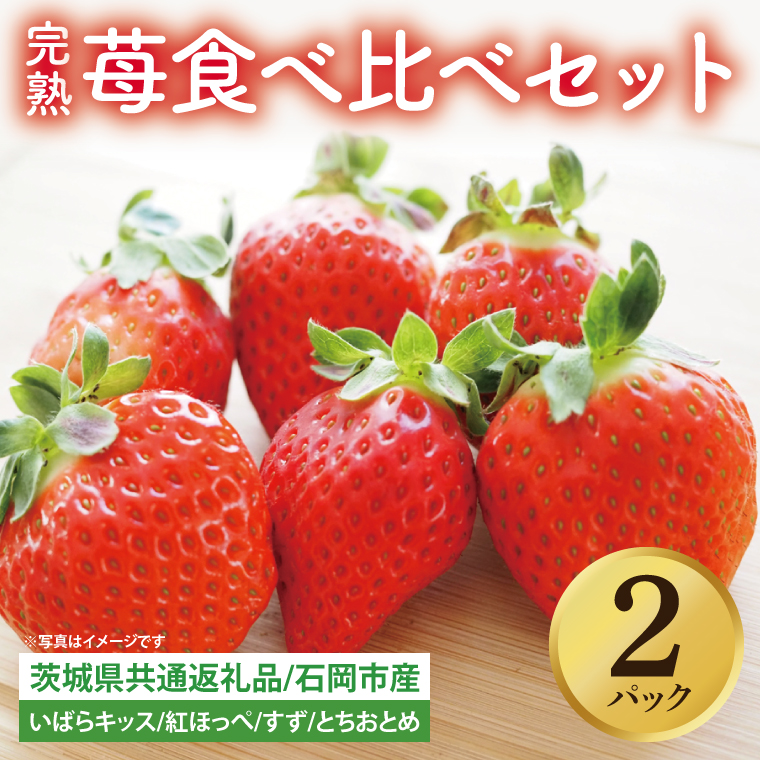 【先行予約】完熟苺 食べ比べセット 2パック【茨城県共通返礼品：石岡市】│ 完熟 いちご イチゴ いばらキッス 紅ほっぺ すず とちおとめ（BH002）