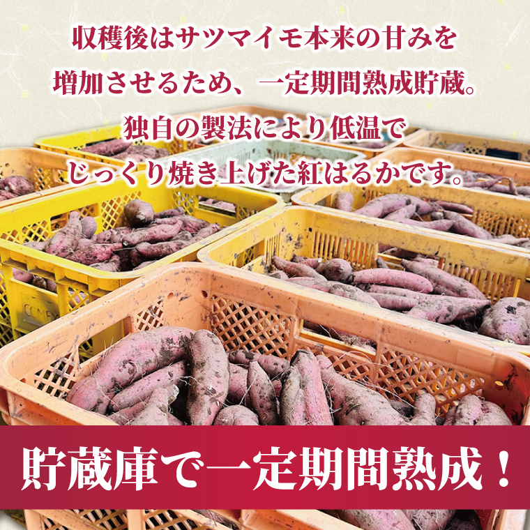 【2026年2月より順次発送】冷凍焼き芋 約500g（紅はるか）｜焼き芋 やきいも 焼きいも さつまいも 紅はるか サツマイモ 先行予約 予約 茨城県 取手市（AS007）