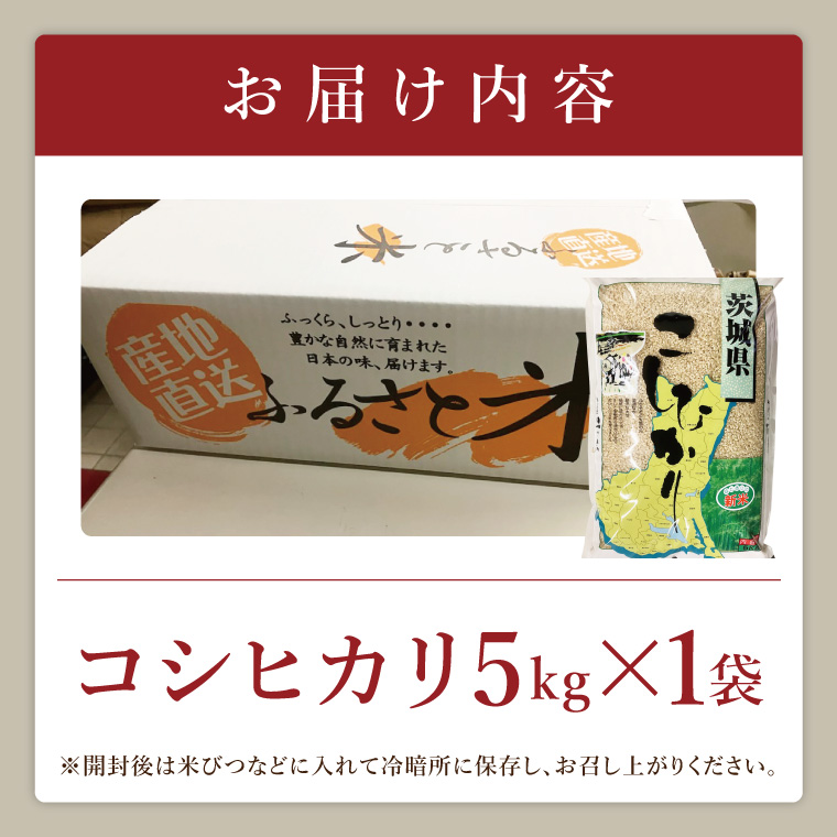 【数量限定】R7年産取手市産コシヒカリ 玄米5kg|お米 米 こしひかり コシヒカリ 玄米 茨城県 取手市（BS003）