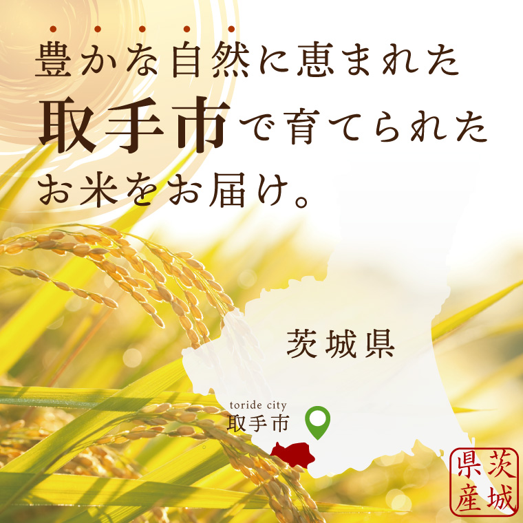 【数量限定】R7年産取手市産コシヒカリ 玄米10kg（5kg×2袋）|お米 米 こしひかり コシヒカリ 玄米 茨城県 取手市（BS004）