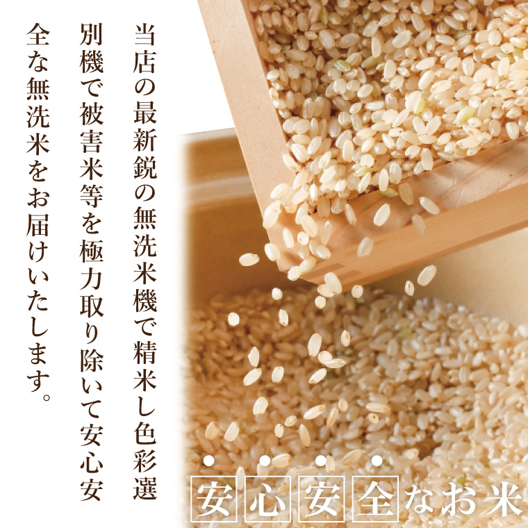 【数量限定】R7年産取手市産コシヒカリ 無洗米10kg（5kg×2袋）|お米 米 こしひかり コシヒカリ 白米 無洗米 茨城県 取手市（BS006）