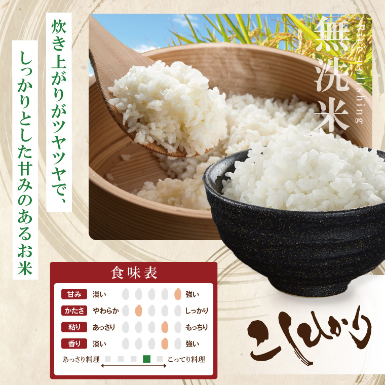 【数量限定】R7年産取手市産コシヒカリ 無洗米10kg（5kg×2袋）|お米 米 こしひかり コシヒカリ 白米 無洗米 茨城県 取手市（BS006）