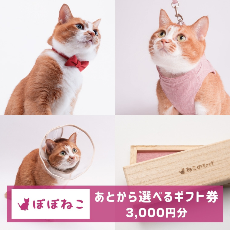 ぽぽねこギフト券（Eメールタイプ）3,000円分オンラインショップで使えるギフト券ペット用品猫（BP001）