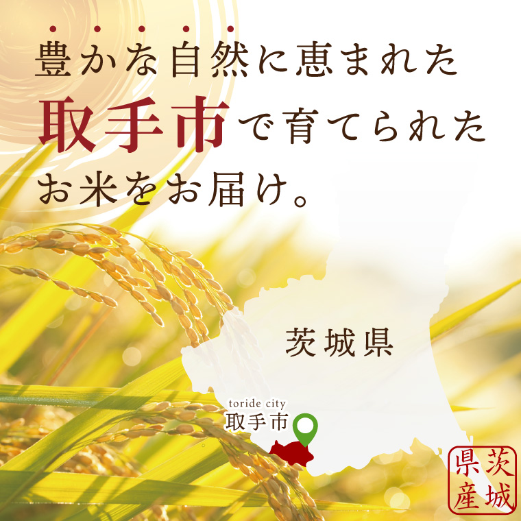 【数量限定】コシヒカリ　玄米30kg|お米 米 こしひかり 茨城県 取手市（BY001）