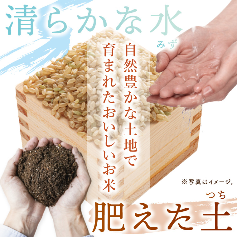 【数量限定】コシヒカリ　玄米30kg|お米 米 こしひかり 茨城県 取手市（BY001）