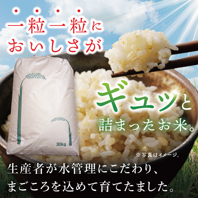 【数量限定】コシヒカリ　玄米30kg|お米 米 こしひかり 茨城県 取手市（BY001）