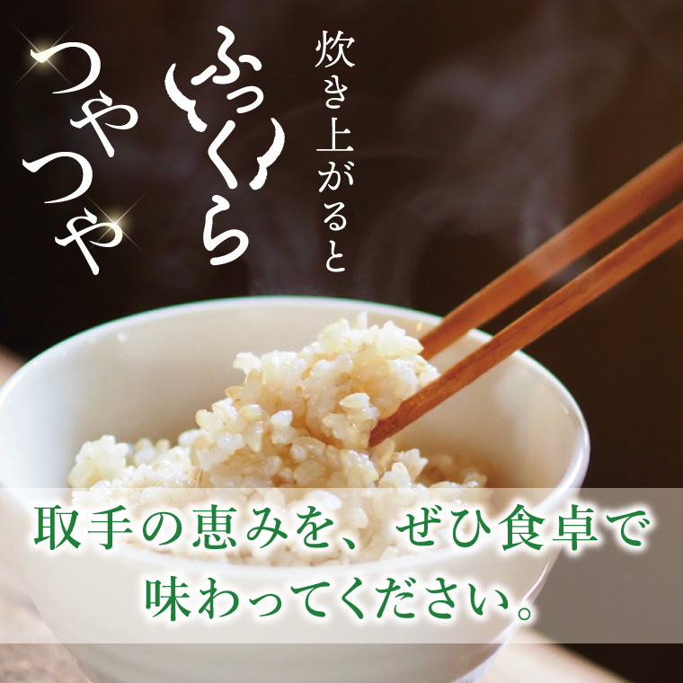 【数量限定】コシヒカリ　玄米30kg|お米 米 こしひかり 茨城県 取手市（BY001）