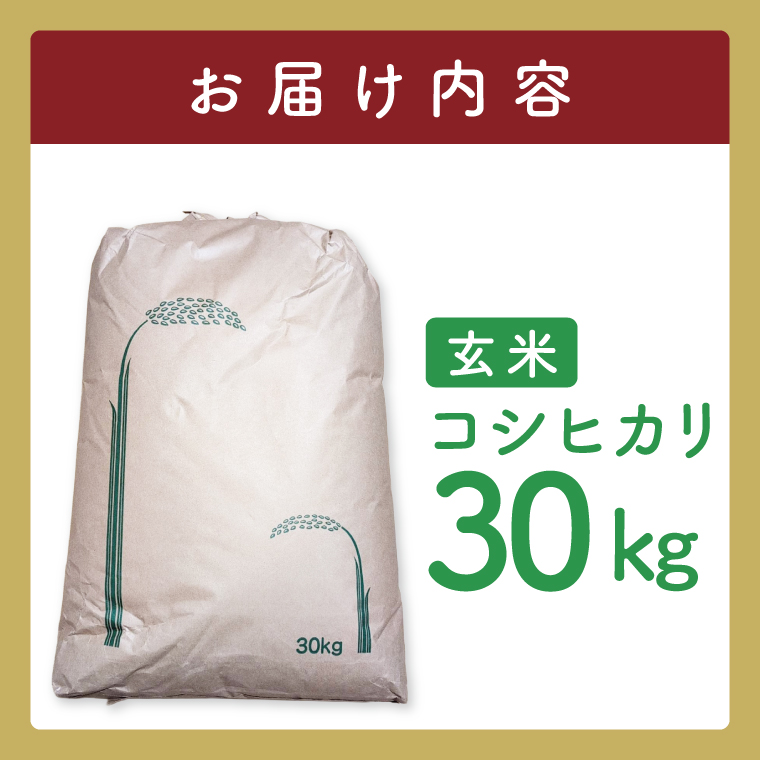 【数量限定】コシヒカリ　玄米30kg|お米 米 こしひかり 茨城県 取手市（BY001）