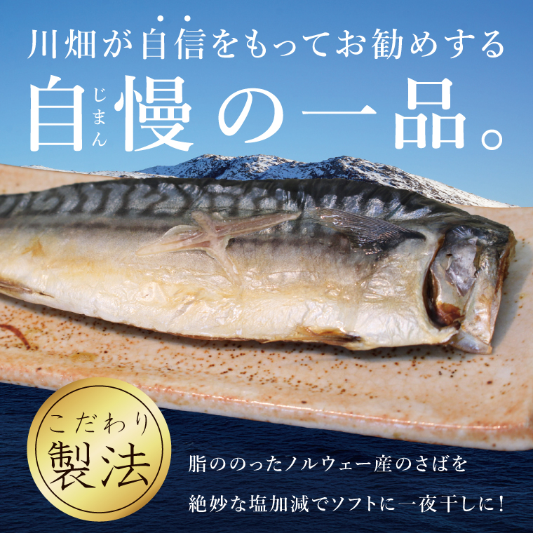 大トロさば文化干し　6パック【茨城県共通返礼品：神栖市】|鯖 サバ 干物 一夜干し 惣菜 おつまみ 冷凍 小分け 個包装 茨城県 取手市（BZ001）
