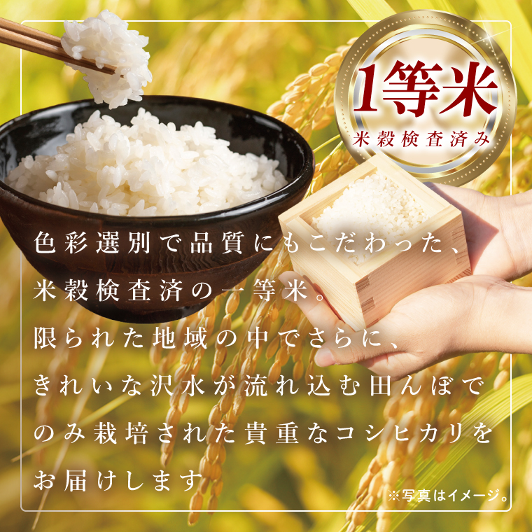 筑波山麓・羽鳥の沢水米 コシヒカリ 精米 5kg【茨城県共通返礼品：桜川市】|お米 米 こしひかり 茨城県 取手市（CA001）