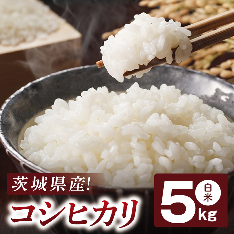 コシヒカリ 白米 5kg【茨城県共通返礼品：高萩市】|お米 米 精米 こしひかり 茨城県 取手市（CB001）