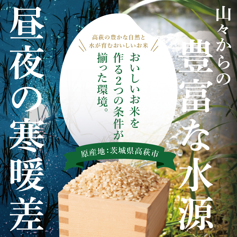 コシヒカリ 玄米 5kg【茨城県共通返礼品：高萩市】|お米 米 こしひかり 茨城県 取手市（CB002）