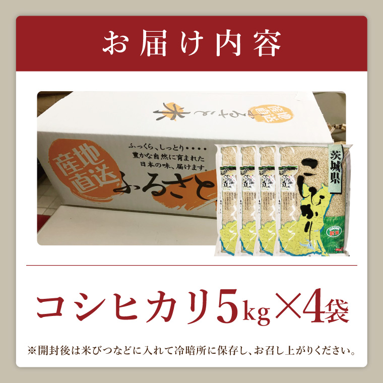 【数量限定】R7年産取手市産コシヒカリ 玄米20kg（5kg×4袋）|お米 米 こしひかり コシヒカリ 新米 玄米 茨城県 取手市（BS015）