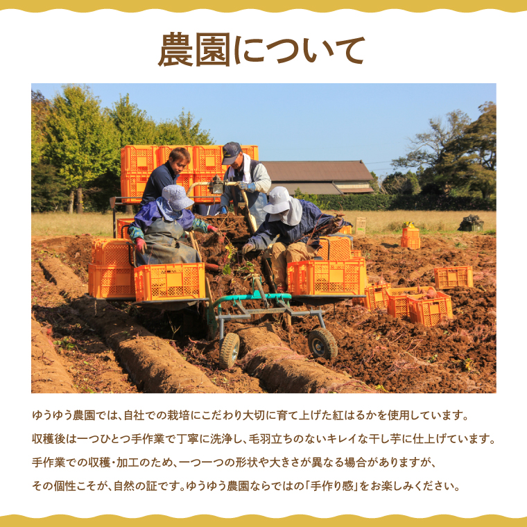 AO001　山田のややこ -おいものこ- ほしいもセット 300g