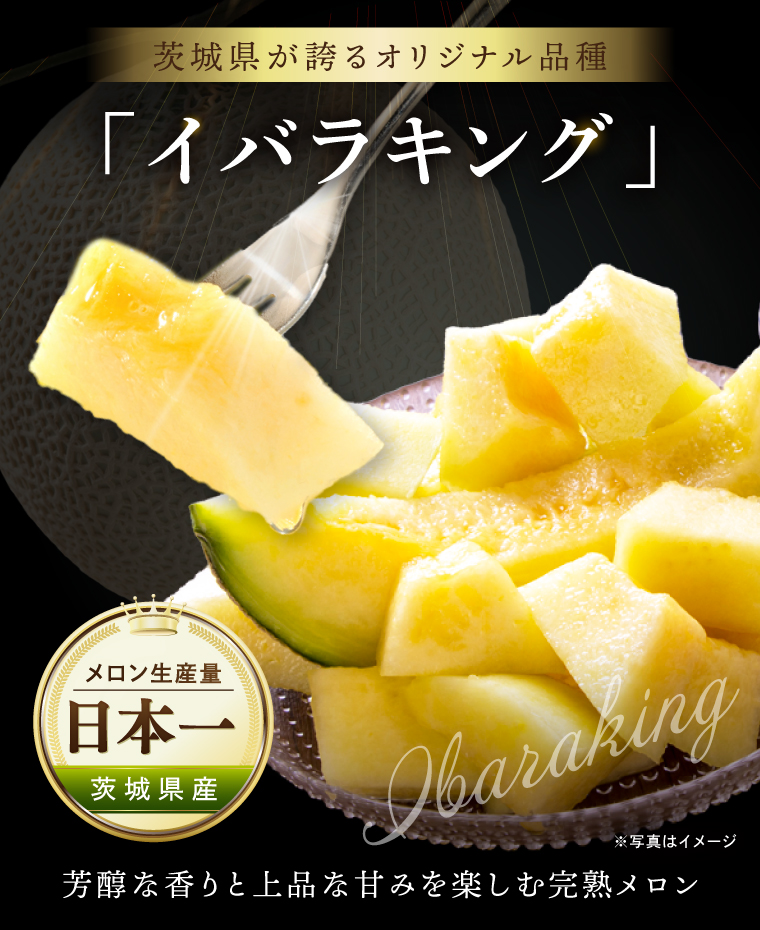 完熟 メロン イバラキング 1玉 │ 1.5kg フルーツ 産地直送 高級 贈答用 （CK001）