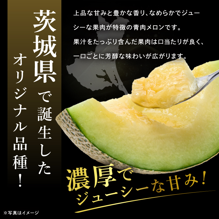 完熟 メロン イバラキング 1玉 │ 1.5kg フルーツ 産地直送 高級 贈答用 （CK001）