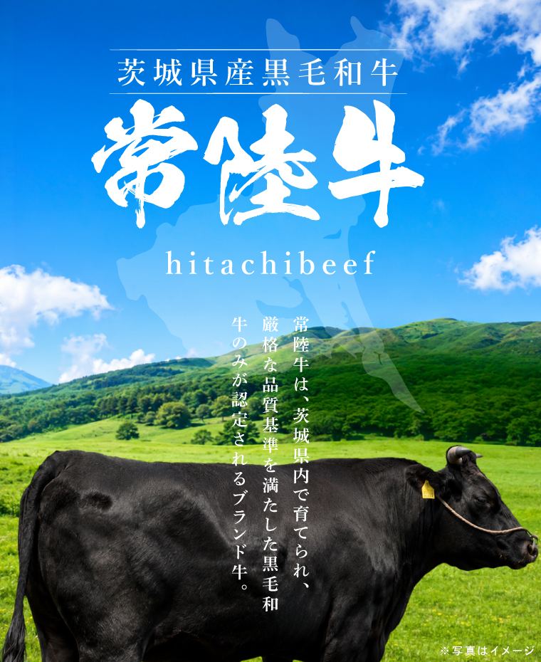 無添加 常陸牛ハンバーグ(100g)5個セット|黒毛和牛 国産和牛 冷凍 個包装 惣菜 おかず 簡単調理 牛肉 人気 茨城県 取手市（AV003）