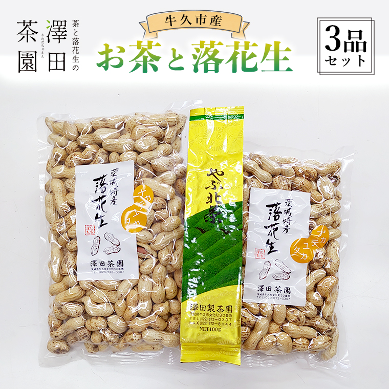 牛久市産お茶と落花生3品セット 落花生 ピーナッツ ピーナツ ナカテユタカ 中手豊 お茶 煎茶 やぶきた茶 美味しい おいしい おやつ お菓子 セット 詰め合わせ ビールのお供 お取り寄せ 詰め合わせ お土産 贈り物 プチギフト 国産 茨城 特産品 農園 自家栽培