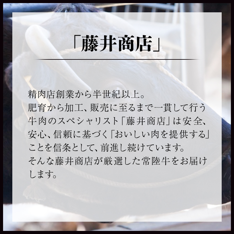 【常陸牛特選A5】ヒレステーキ 250g×3枚 (750g) ( 茨城県共通返礼品 ) 国産 お肉 肉 焼肉 焼き肉 バーベキュー BBQ ヒレ肉 ヘレ ヘレステーキ テンダーロイン A5ランク ブランド牛