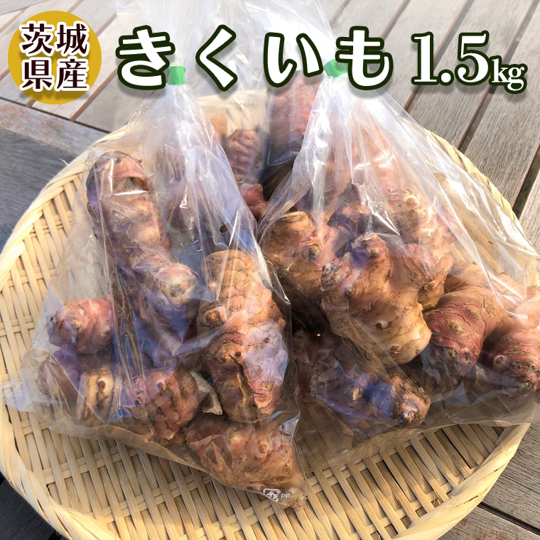 茨城県産 「 菊芋 」 1.5kg キクイモ 芋 菊芋チップス 新鮮 野菜 旬 健康食材 おやつ おつまみ