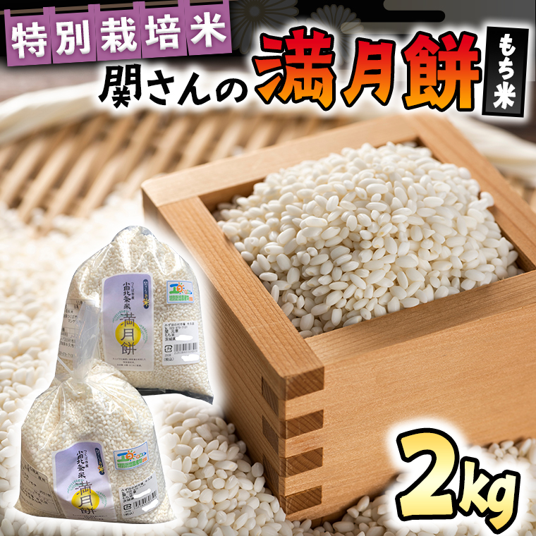 【 特別栽培米 】 関さんの もち米「 満月餅 」 2kg 特別栽培農産物 認定米 米 コメ お米 餅米 