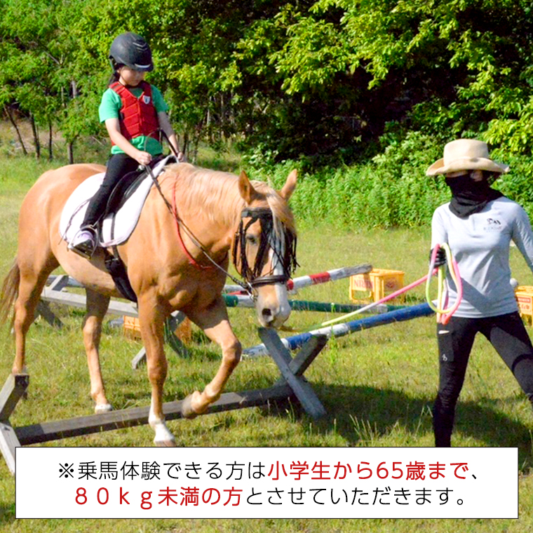 乗馬体験１回コース 乗馬 レッスン 見学 初心者 日帰り 体験 馬 チケット