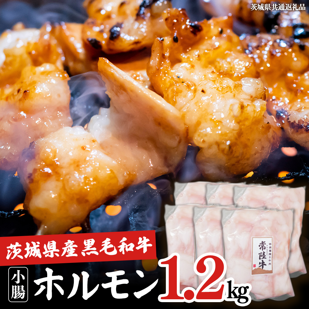 【茨城県産】 黒毛和牛 もつ鍋 焼肉用 小腸 1.2kg（200g×6パック） (茨城県共通返礼品) 国産 牛肉 肉 お肉 ホルモン もつ 焼肉
