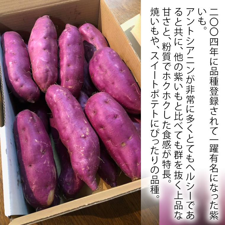 さつまいも 「 パープルスイートロード 」 5kg 紫芋 旬 甘い 芋 いも サツマイモ スイーツ 野菜