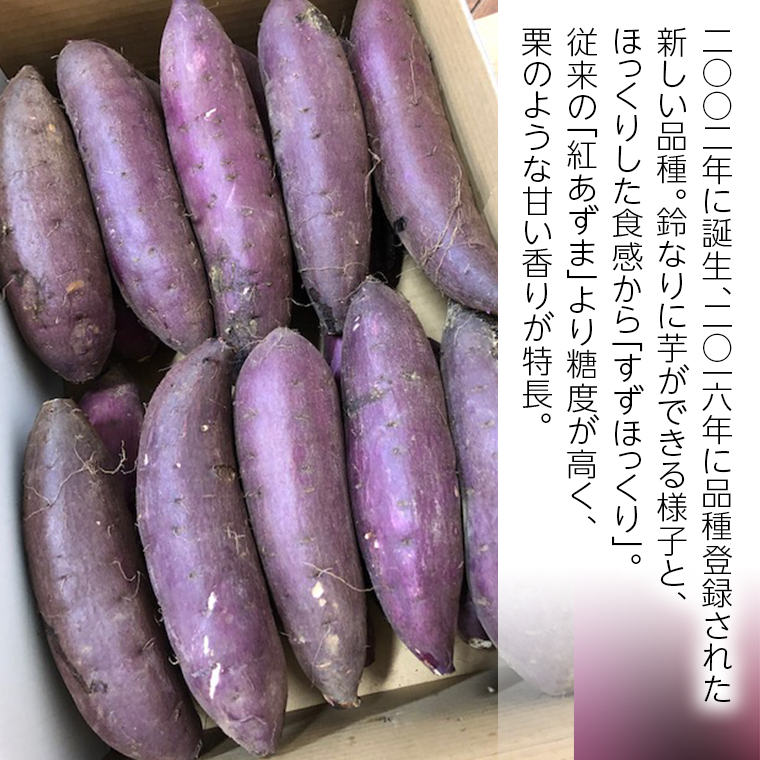 さつまいも 「 すずほっくり 」 5kg 旬 甘い 芋 いも サツマイモ スイーツ 野菜