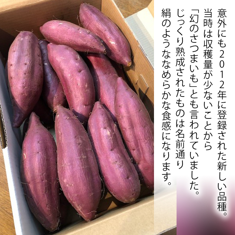 さつまいも 「 シルクスイート 」 5kg 旬 甘い 芋 いも サツマイモ スイーツ 野菜