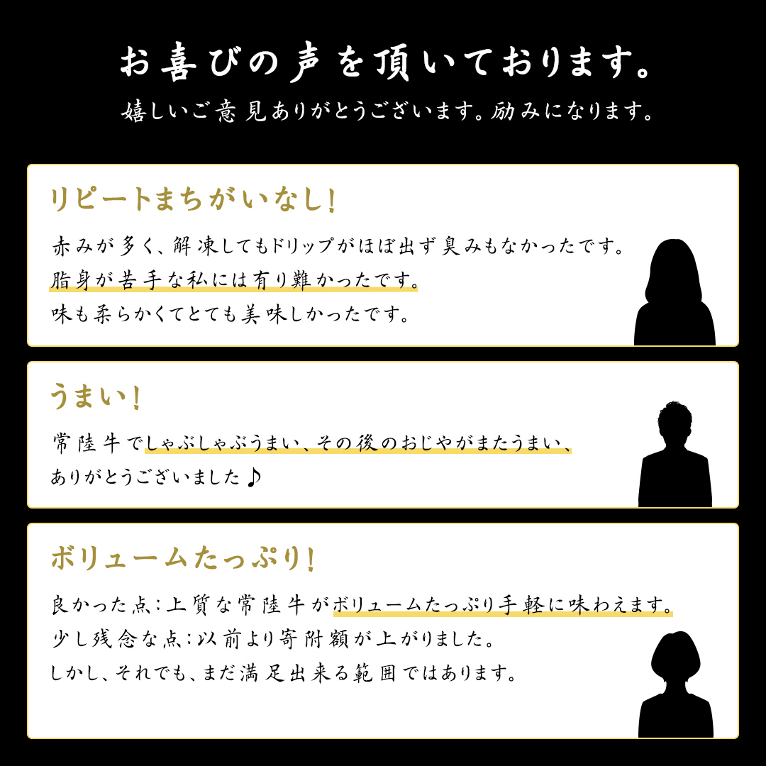 【 3ヶ月 定期便 】『 常陸牛 』 切り落とし 1kg ( 500g × 2パック ) 牛肉 国産 牛 肉 切り落とし肉 切落し 小分け お肉 A4 A5 ブランド牛 黒毛和牛 和牛 国産黒毛和牛 国産牛 すき焼き すきやき ( 茨城県共通返礼品 )