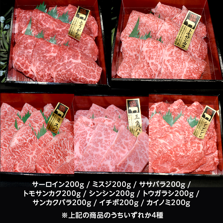 【 常陸牛 希少部位 】 焼肉 食べ比べ 4種 セット ( 茨城県共通返礼品 ) 国産 焼き肉 バーベキュー BBQ お肉 サーロイン バラ ブランド牛