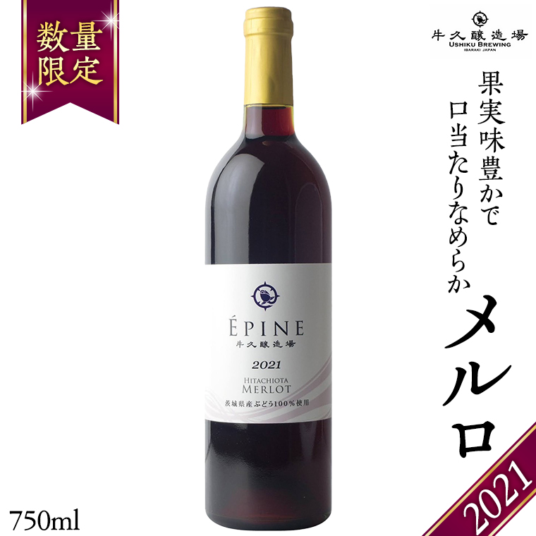 【 数量限定 】エピヌ メルロ 2021 茨城県産 牛久醸造場 日本ワイン 赤ワイン 750ml × 1本 やや辛口 ミディアムボディ お酒 贈り物 ラズベリー