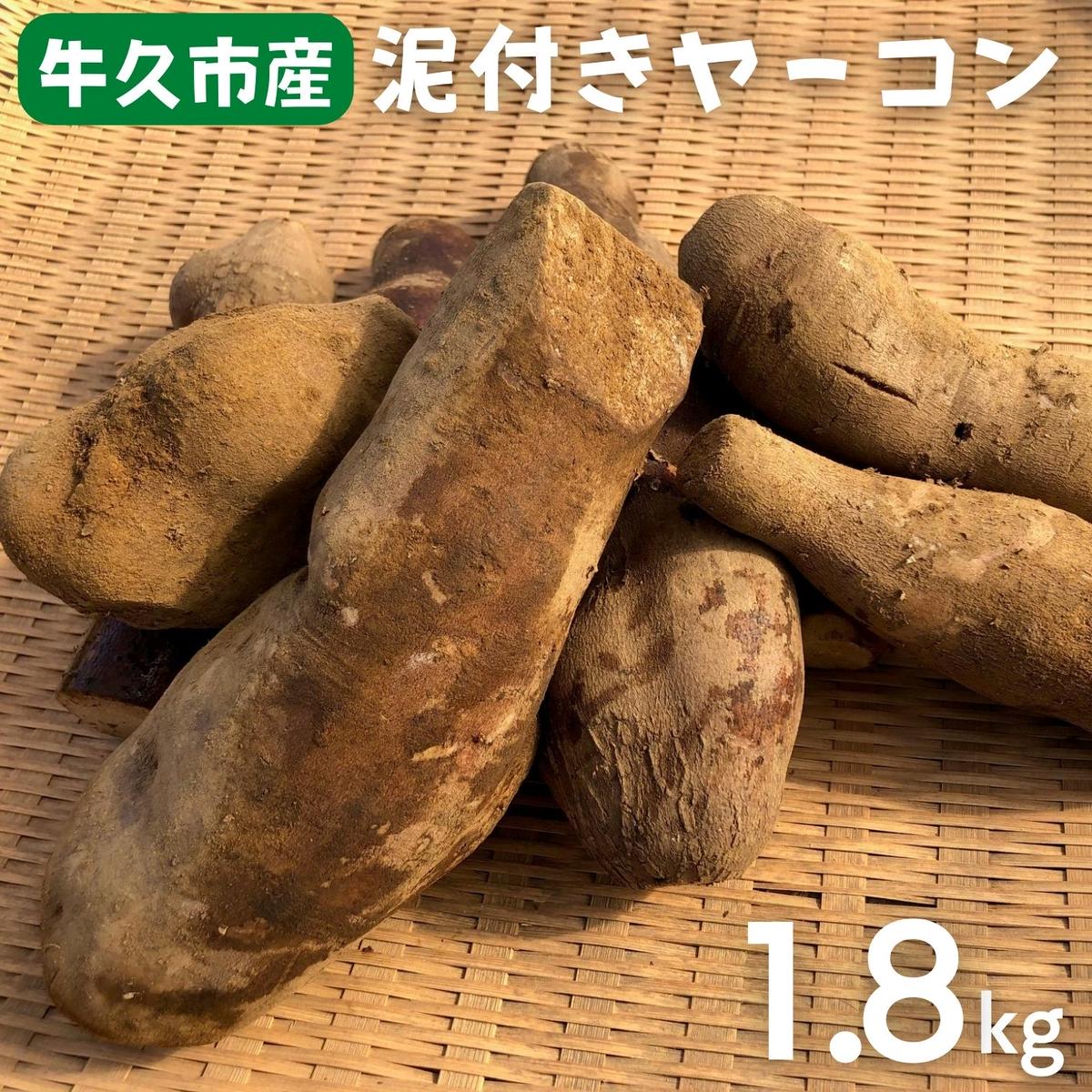  牛久市産 泥付き 「 ヤーコン 」 1.8kg 野菜 健康 健康野菜 食物繊維 根菜 芋 いも イモ