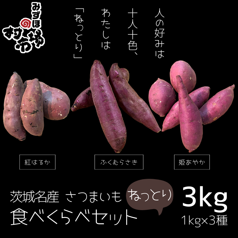 茨城名産 さつまいも 食べくらべ セット【ねっとり】 1kg × 3種 3kg サツマイモ 芋 詰合せ 野菜 スイーツ 焼き芋 紫芋 紅はるか ふくむらさき 姫あやか