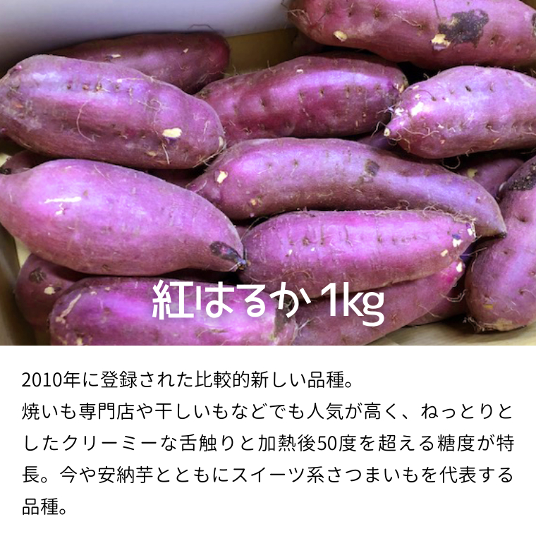 茨城名産 さつまいも 食べくらべ セット【ねっとり】 1kg × 3種 3kg サツマイモ 芋 詰合せ 野菜 スイーツ 焼き芋 紫芋 紅はるか ふくむらさき 姫あやか