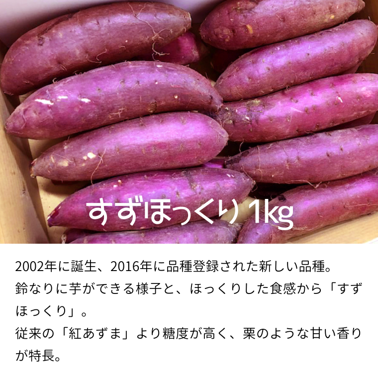 茨城名産 さつまいも 食べくらべ セット【ほっくり】 1kg × 3種　3kg サツマイモ 芋 詰合せ 野菜 スイーツ 焼き芋 紫芋 すずほっくり パープルスイートロード 姫あやか