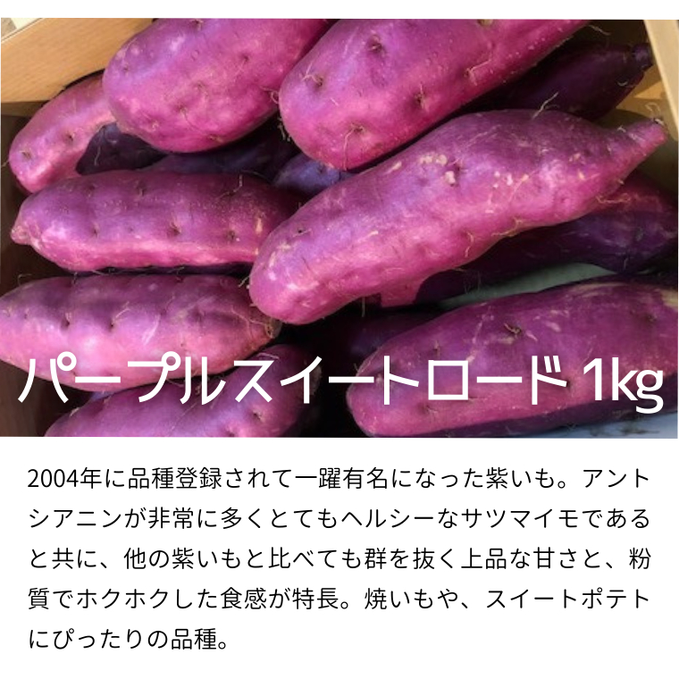 茨城名産 さつまいも 食べくらべ セット【ほっくり】 1kg × 3種　3kg サツマイモ 芋 詰合せ 野菜 スイーツ 焼き芋 紫芋 すずほっくり パープルスイートロード 姫あやか