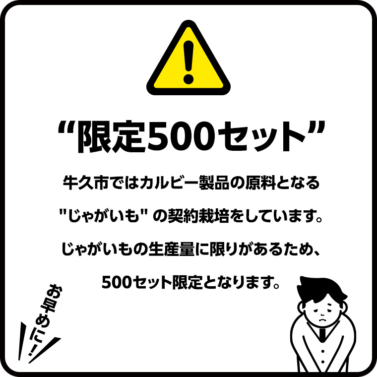 【 カルビー 3ヶ月 定期便 】 堅あげポテト 3種 各4袋 セット ( 計12袋 ) うすしお ブラックペッパー 焼きのり 堅あげ かたあげ ポテト ポテチ お菓子 おかし 大量 スナック おつまみ ジャガイモ じゃがいも まとめ買い 数量限定