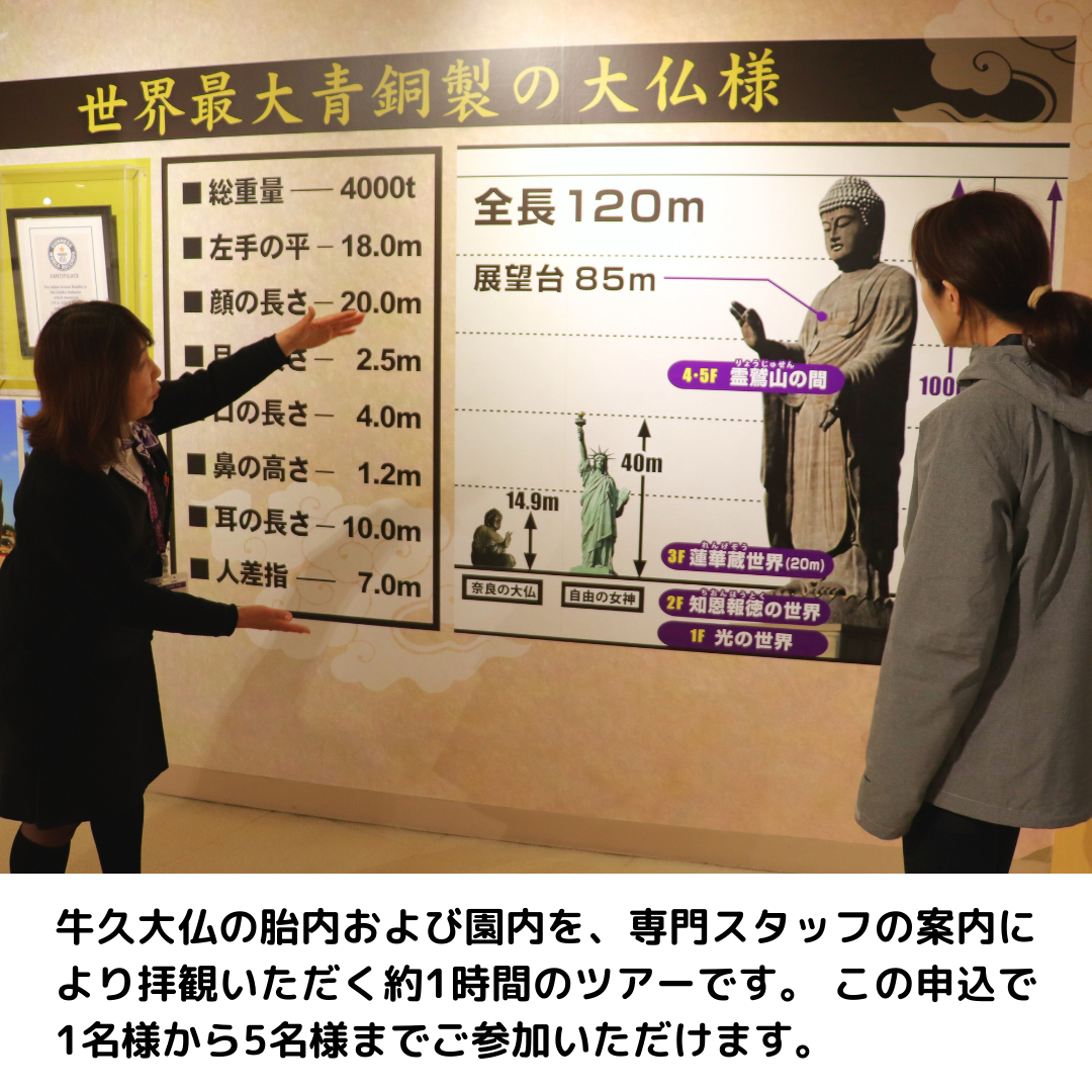 《 案内付き 》 牛久大仏 胎内 拝観 ツアー ※ 平日限定 ※ （ 5名様まで ） 貸切 体験 参加券 体験チケット 観光