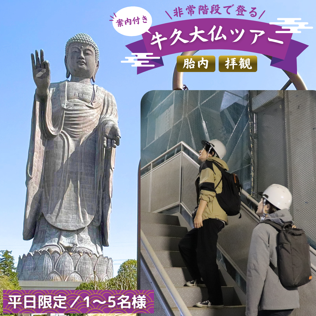 《 案内付き 》 非常階段で登る 牛久大仏 胎内 拝観 ツアー ※ 平日限定 ※ （ 5名様まで ） 貸切 体験 参加券 体験チケット 観光