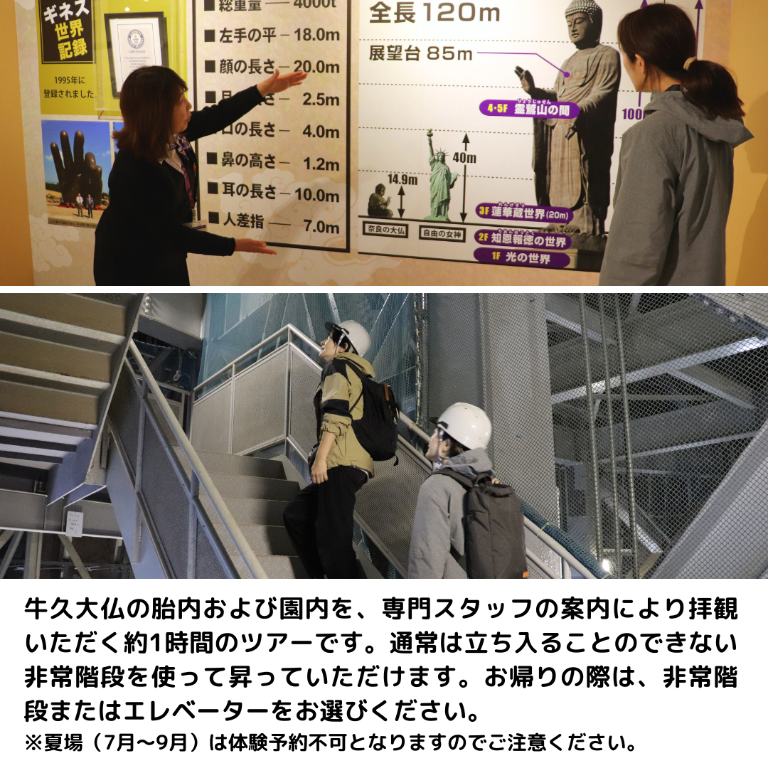 《 案内付き 》 非常階段で登る 牛久大仏 胎内 拝観 ツアー ※ 平日限定 ※ （ 5名様まで ） 貸切 体験 参加券 体験チケット 観光