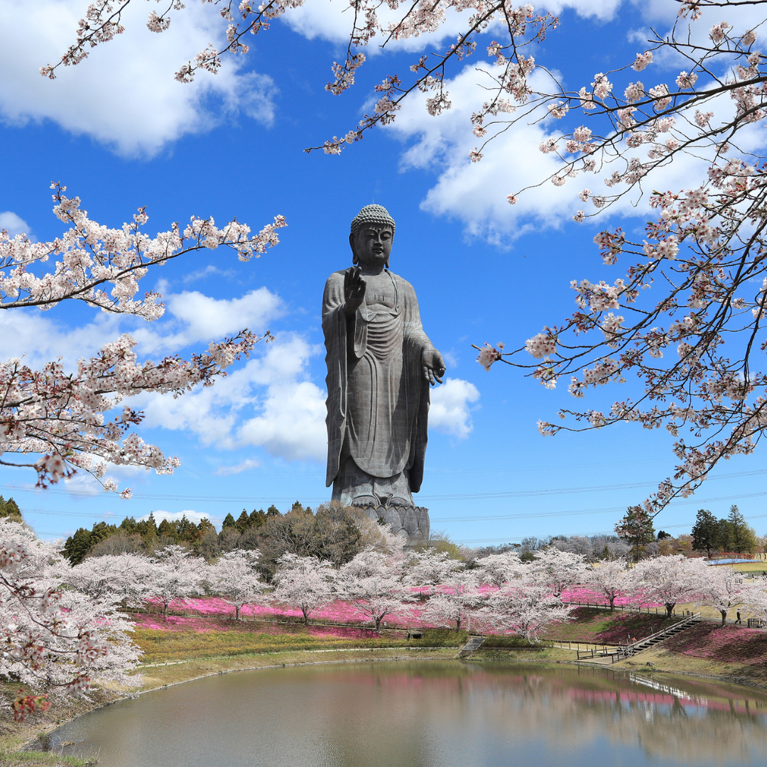 地上20ｍ 牛久大仏 足元 お身拭い 体験 ツアー ※ 平日限定 ※ （ 5名様まで ） 貸切 参加券 体験チケット 観光 ふるさと納税限定